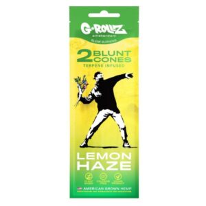 import placeholder for 23981